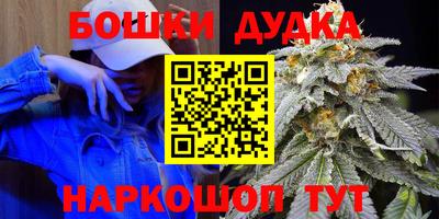 прущие грибы Комсомольск-на-Амуре