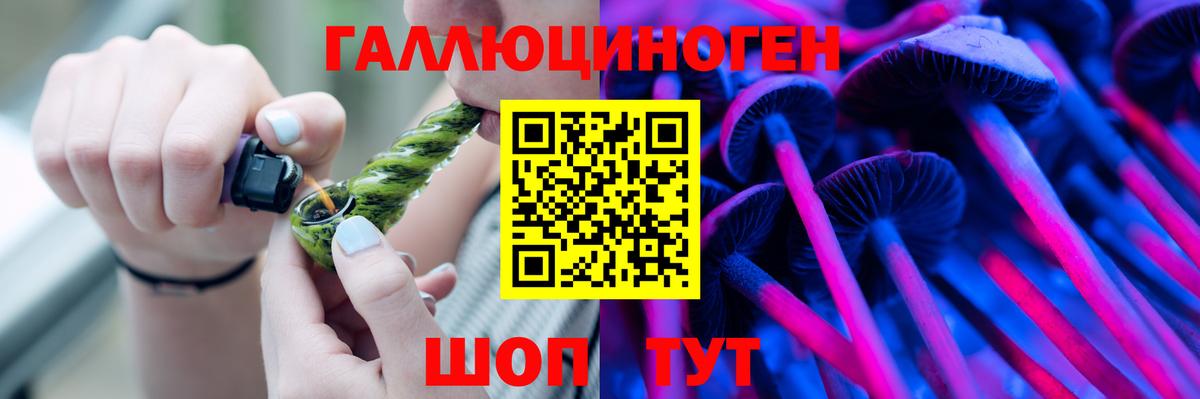 Камышлов  Псилоцибиновые грибы Psilocybine cubensis  Вход с VPN 